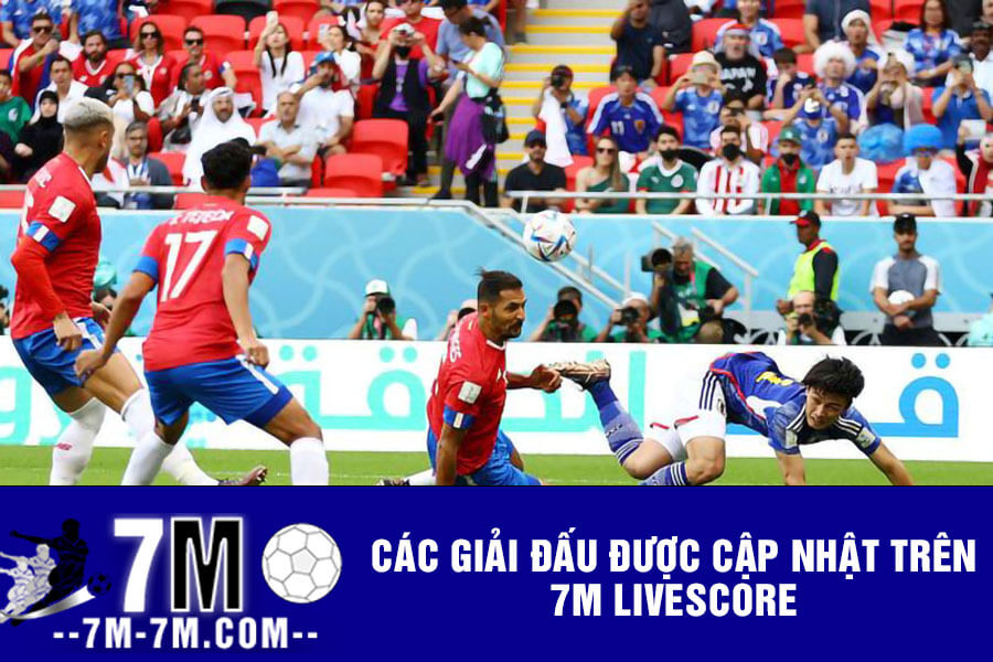 Các giải đấu được cập nhật trên 7m Livescore