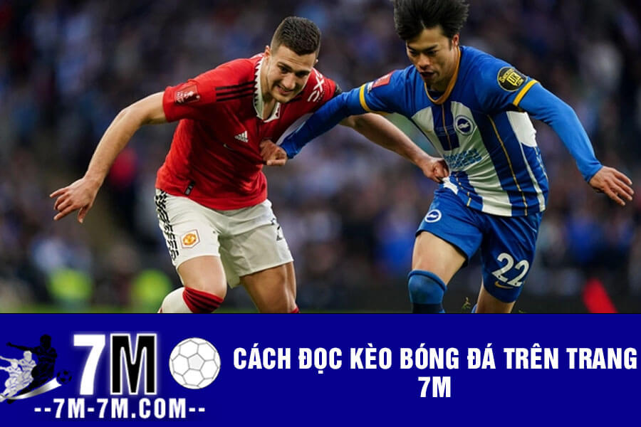 Cách đọc kèo bóng đá