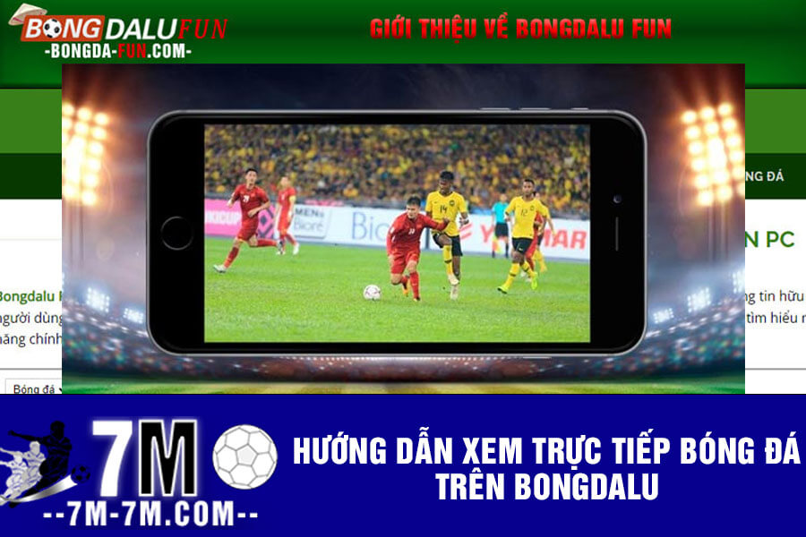 Hướng dẫn xem trực tiếp bóng đá trên Bongdalu