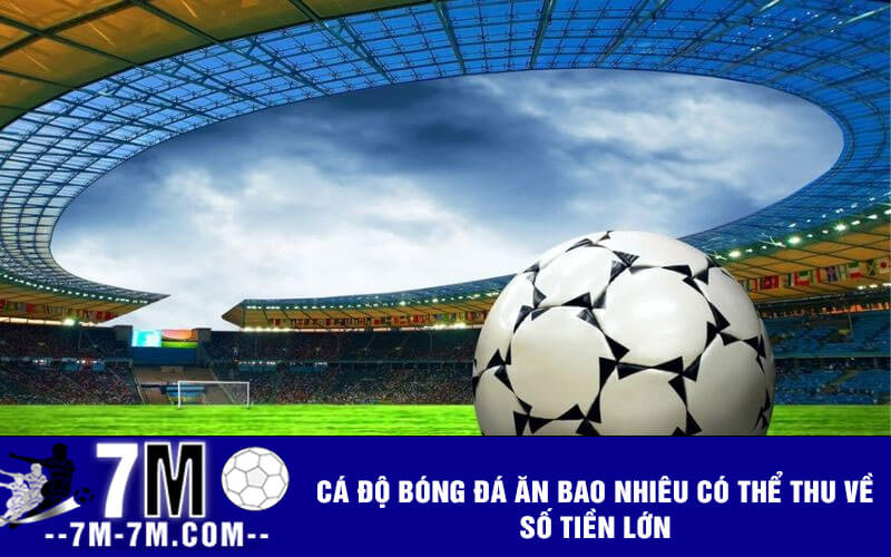 Cá độ bóng đá ăn bao nhiêu có thể thu về số tiền lớn