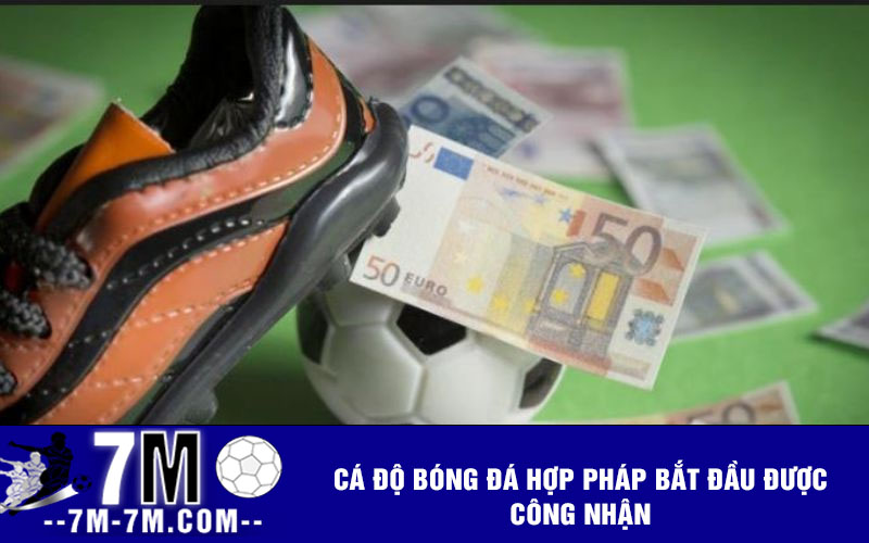 Cá độ bóng đá hợp pháp bắt đầu được công nhận