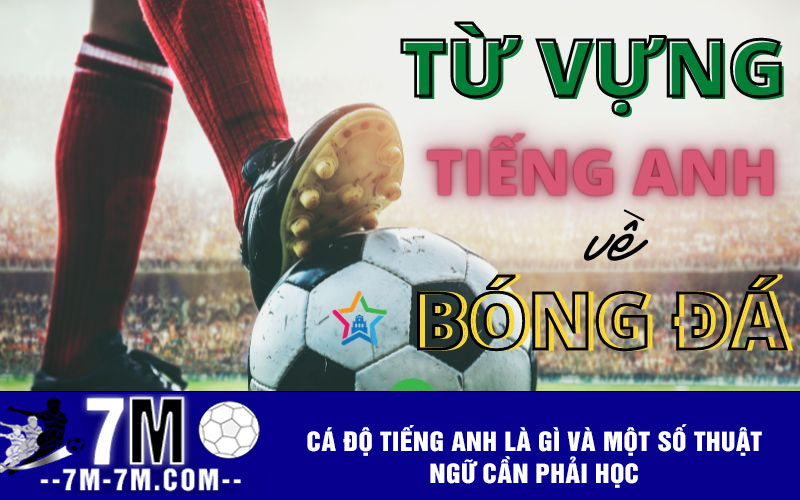 Cá độ tiếng anh là gì và một số thuật ngữ cần phải học
