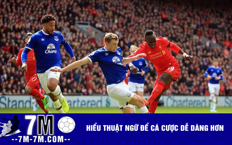 Hiểu thuật ngữ để cá cược dễ dàng hơn