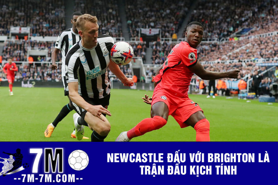 Newcastle đấu với Brighton là trận đấu kịch tính