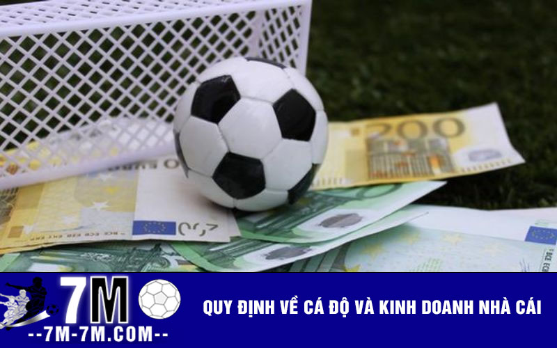 Quy định về cá độ và kinh doanh nhà cái