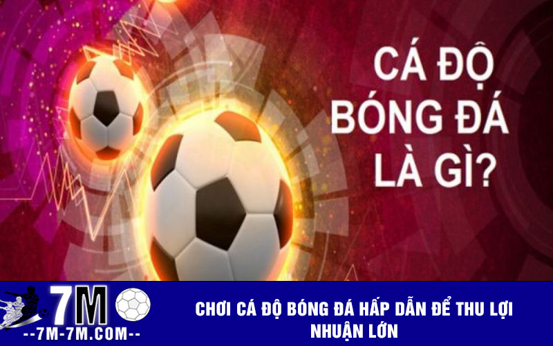 Chơi cá độ bóng đá hấp dẫn để thu lợi nhuận lớn