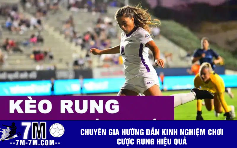 Chuyên gia hướng dẫn kinh nghiệm chơi cược rung hiệu quả
