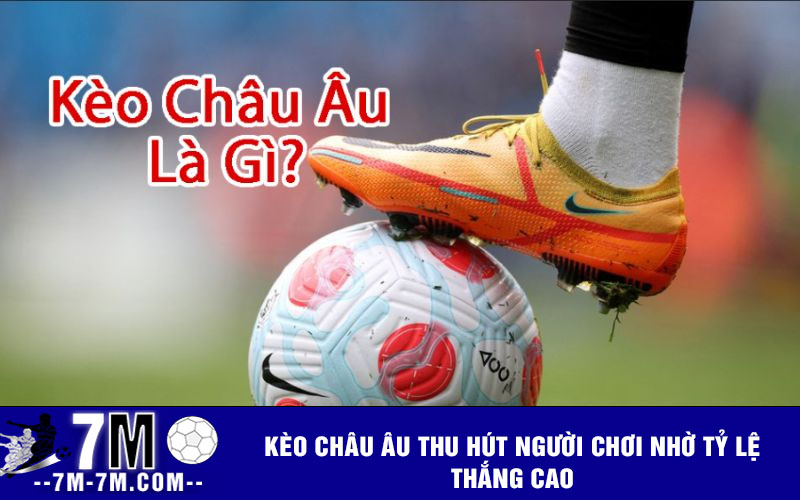 Kèo châu Âu thu hút người chơi nhờ tỷ lệ thắng cao