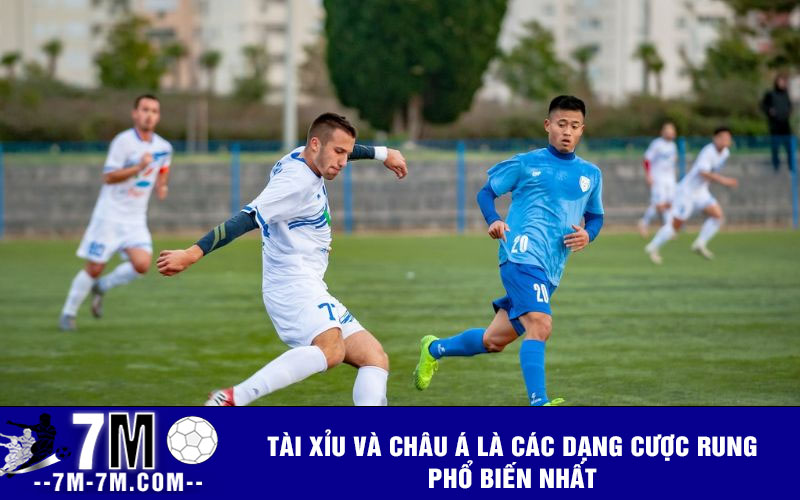 Tài xỉu và châu Á là các dạng cược rung phổ biến nhất