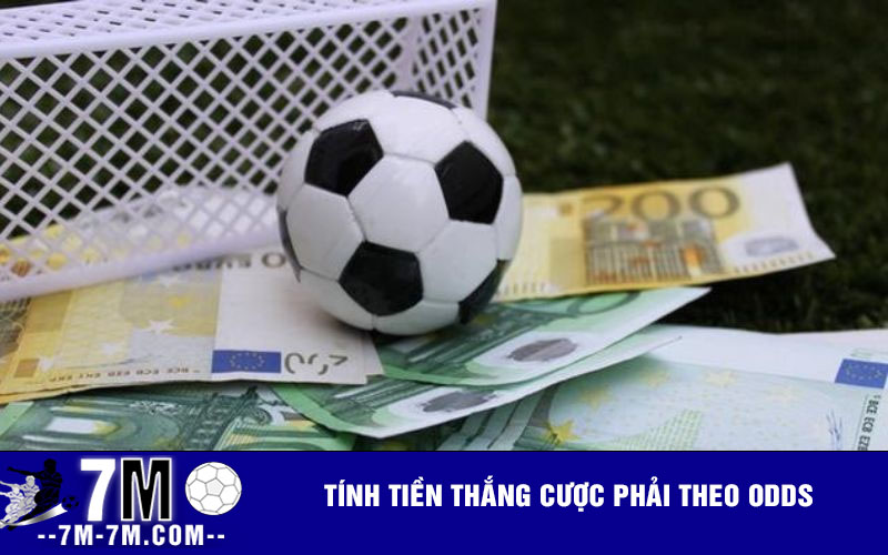Tính tiền thắng cược phải theo odds