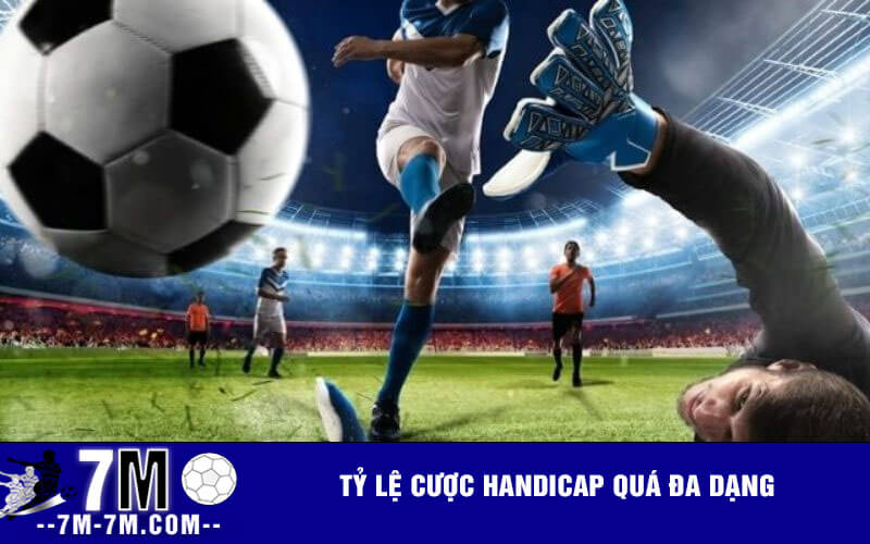 Tỷ lệ cược Handicap quá đa dạng