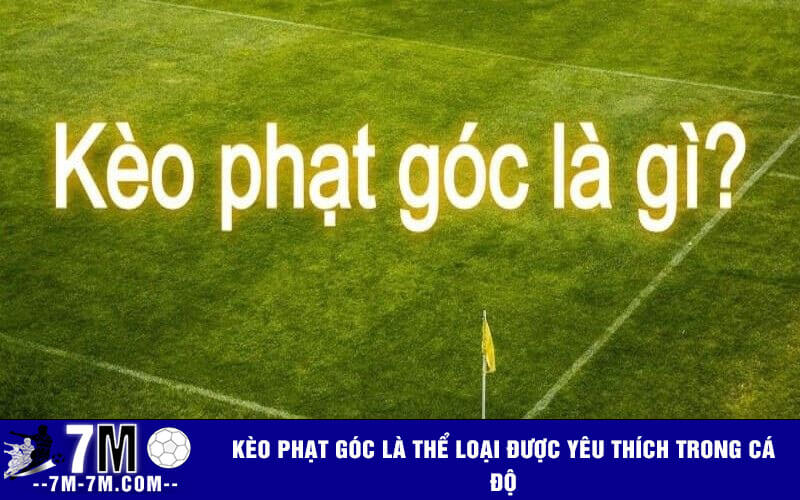Kèo phạt góc là thể loại được yêu thích trong cá độ