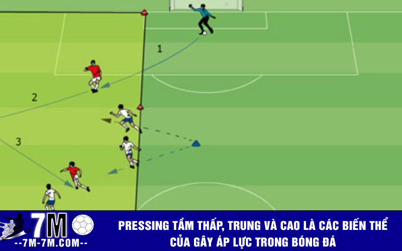 Pressing tầm thấp, trung và cao là các biến thể của gây áp lực trong bóng đá