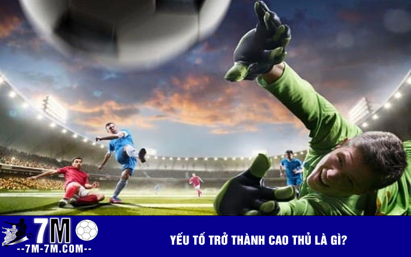 Yếu tố trở thành cao thủ là gì?