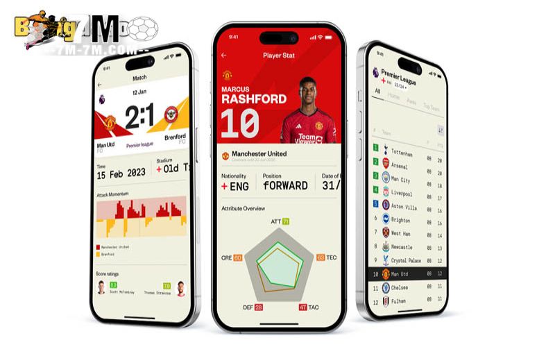 Mitom đồng hành cùng bạn trong mùa giải bóng đá 2024/2025