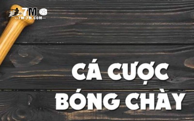 Cá Cược Bóng Chày Là Gì?