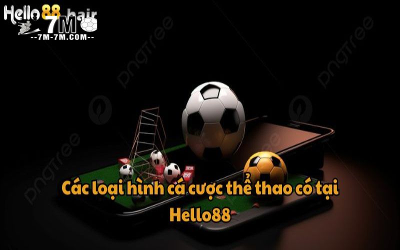 Các loại hình cá cược thể thao có tại Hello88