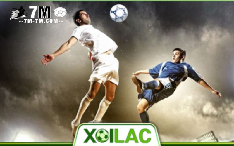 Chất lượng thông tin và sự chuyên nghiệp của xoilac