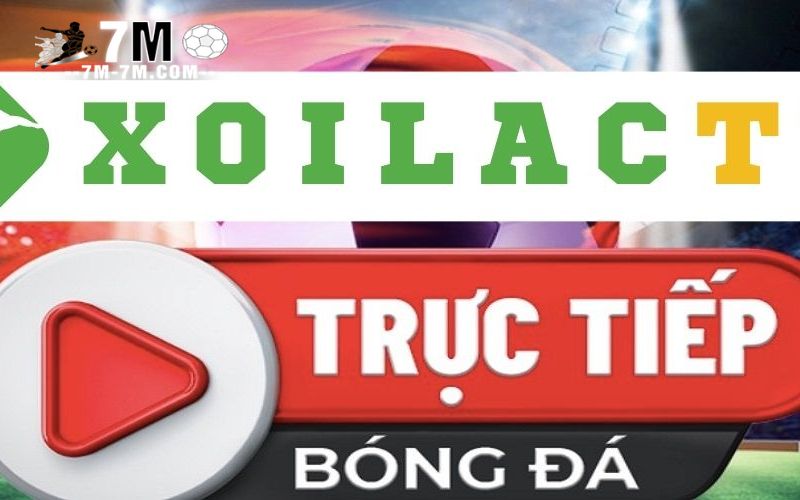Tương tác người dùng và cộng đồng trên Xoilac TV