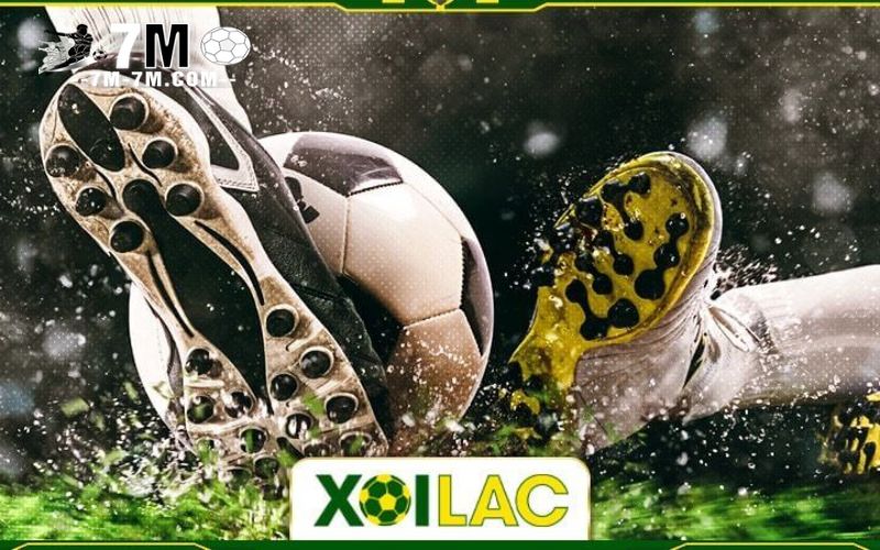 Chính sách bảo mật và bảo vệ thông tin cá nhân trên Xoi lac TV