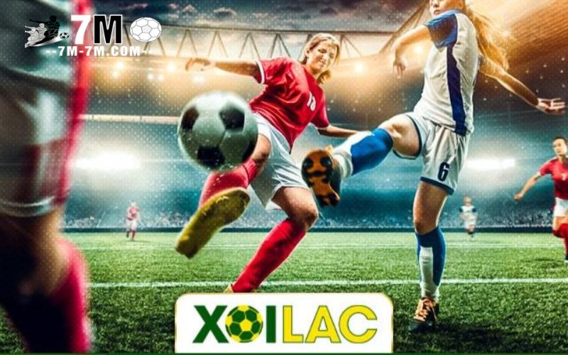 Phản hồi từ người dùng về trang bóng đá Xoi lac TV