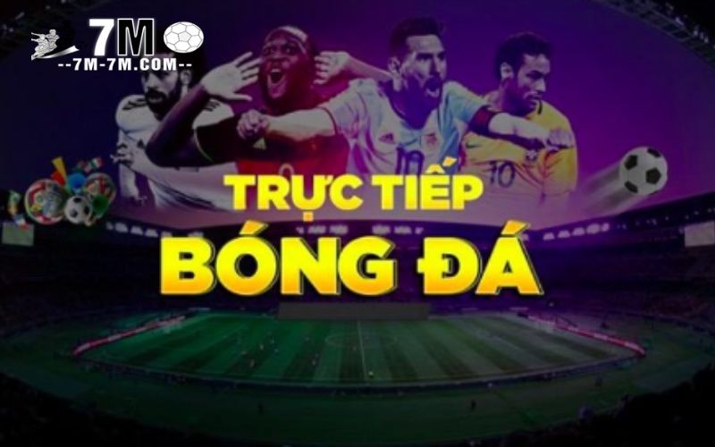 Không gian xem bóng đá trực tuyến hiện đại tại xoilac