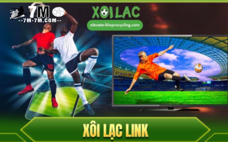 Xoilac cung cấp thông tin bóng đá chính xác