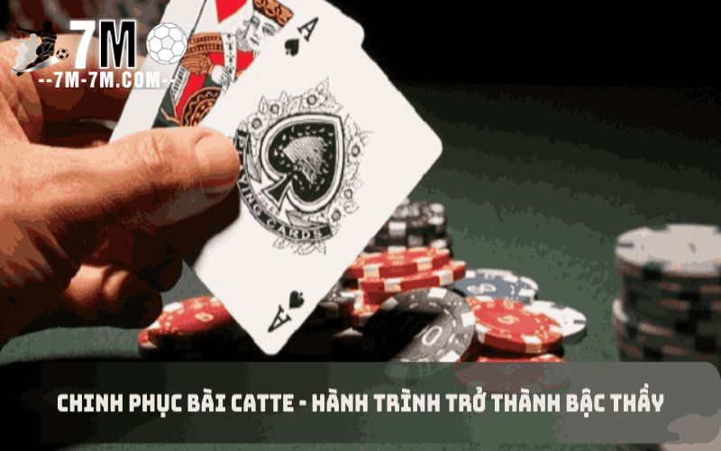 Hướng dẫn chơi bài catte hay xây dựng chiến thuật hiệu quả