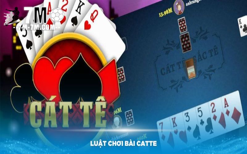 Tìm hiểu về trò chơi Catte cực hay và trí tuệ
