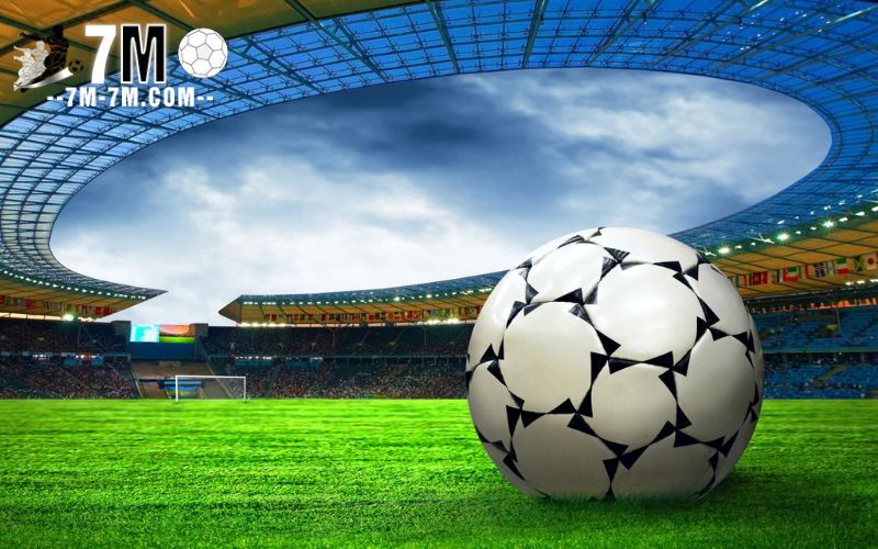 Các loại dữ liệu thường được phân tích
