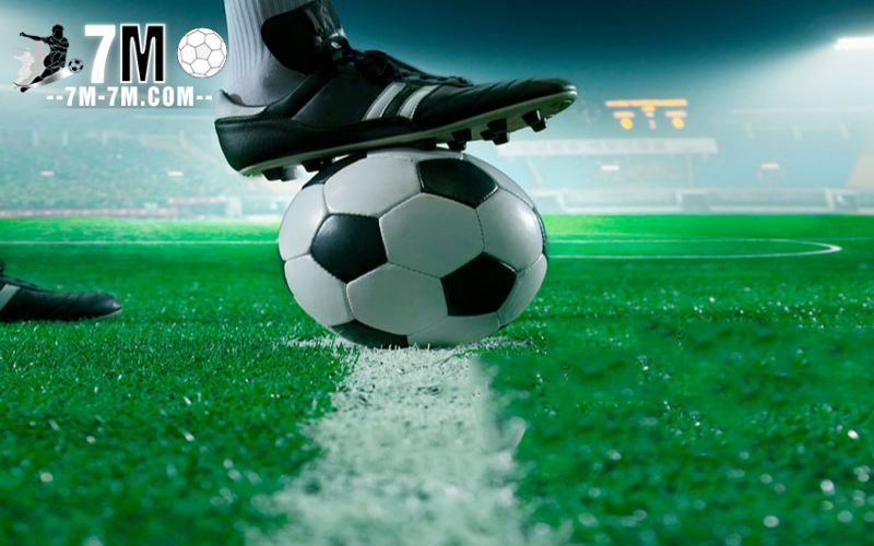 Đọc các đánh giá trên diễn đàn