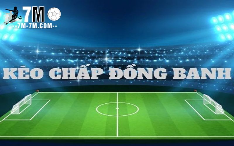 Cá cược thể thao tại nhà cái 23win có gì đặc biệt?
