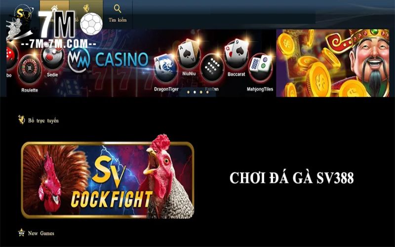 SV388 – Nhà cái cá cược đá gà hàng đầu