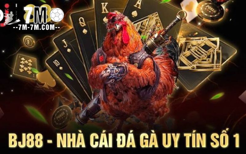 Giới thiệu về Nhà Cái BJ88