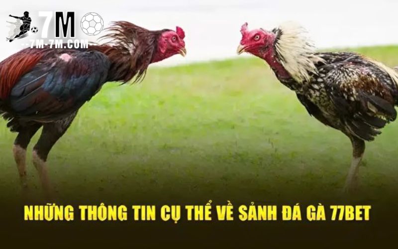 Cập nhật siêu phẩm nên thử tại 77bet