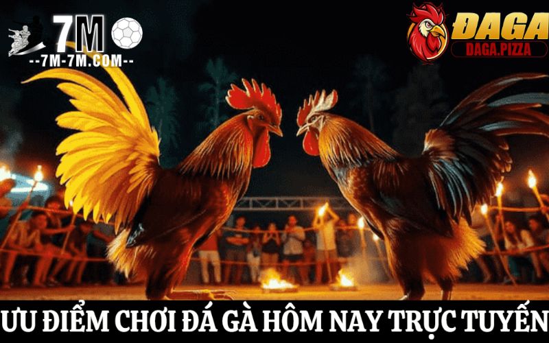 Ưu điểm khi chơi đá gà hôm nay trực tuyến