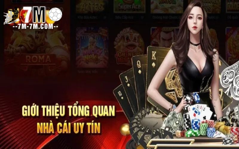 Giới thiệu về nhà cái nohu